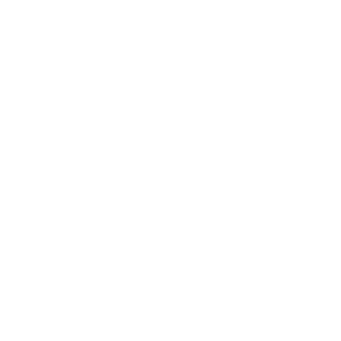 insta link